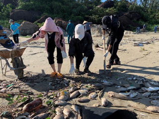 Quảng Ngãi: Người nuôi cá lồng bè thiệt hại nặng do mưa bão   