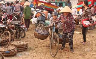 Ngư dân miền Trung chuẩn bị tìm 'lộc biển'
