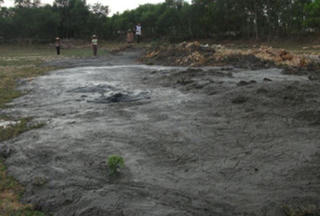 Trại lợn bị phạt 50 triệu đồng do xả thải ra môi trường