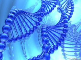 Tìm ra gene giúp con người thông minh