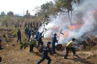Mạnh tay cứu rừng