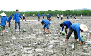 Quảng Ninh: Xây dựng mô hình điểm về bảo vệ môi trường