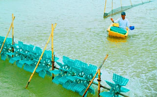 Che đỡ sai phạm