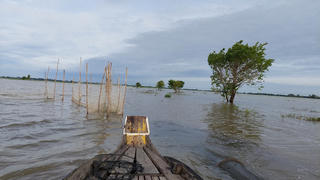 Mùa nước về ở Đồng Tháp Mười