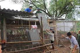 Thái Nguyên, Bắc Kạn: Giông, lốc gây thiệt hại nặng nề