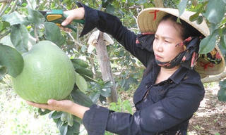 Người làm nông nghiệp không giống ai