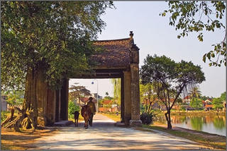 Ai hưởng lợi từ di sản?