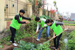 Hải Dương: Phát động Tết trồng cây mùa xuân 2017