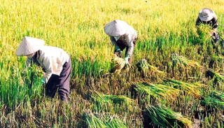 Đẩy mạnh cải cách hành chính trong nông nghiệp