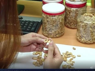 Bình Phước: Bắt giữ hơn 13 tấn hạt điều thải loại bán ra thị trường Tết