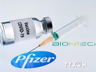 FDA điều tra các trường hợp dị ứng với vaccine Covid-19 của Pfizer