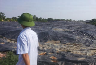 "Mất mùa" vì gần nhà máy chế biến phế thải