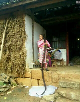 Người phụ nữ gội đầu một tuần tóc mới khô