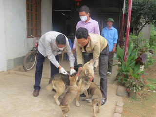 Đề phòng bệnh dại