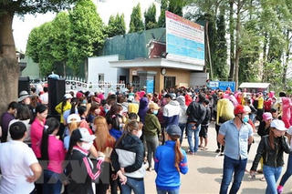 Đồng Nai: 52 doanh nghiệp giải thể, nợ hơn 57 tỷ đồng bảo hiểm