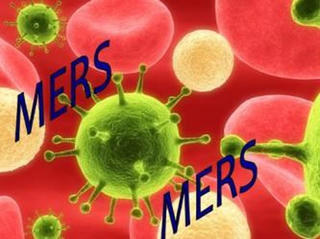 Khẩn cấp ngăn chặn MERS – CoV