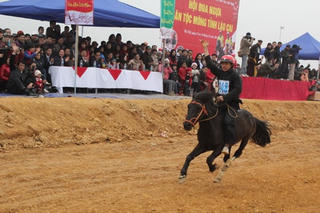 Con ngựa trong đời sống của người vùng cao