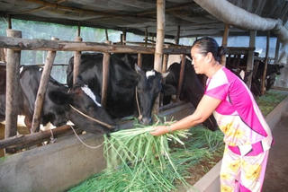 Đời sống đồng bào Khmer ngày càng được cải thiện