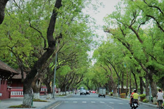 Những con đường xứ Huế