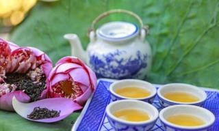 Hà Nội xây dựng không gian thưởng thức trà sen