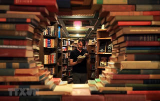 [ẢNH] Ngày sách thế giới thúc đẩy việc đọc và quyền tác giả