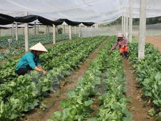 Bộ Nông nghiệp và PTNT bãi bỏ nhiều điều kiện đầu tư kinh doanh