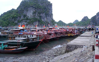 Hạn chế thấp nhất thiệt hại của bão số 1
