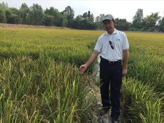 Cùng trăn trở nâng niu hạt 'ngọc' Việt