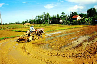Thực hiện chính sách hỗ trợ đặc thù khuyến khích đầu tư vào nông nghiệp, nông thôn