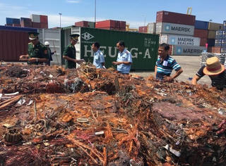 Ngăn ngừa vận chuyển xuyên biên giới trái phép chất thải nguy hại