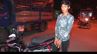 Trộm bò vận chuyển hơn 400 km thì bị bắt