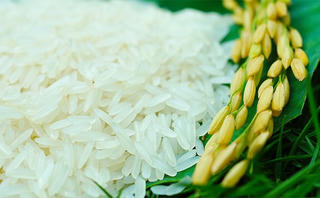 Định vị gạo Việt