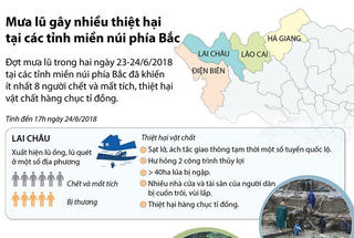[Infographics] Mưa lũ gây nhiều thiệt hại tại các tỉnh miền núi phía Bắc