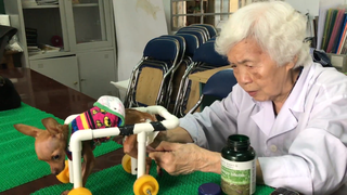 PGS.TS Phạm Thị Xuân Vân: Gần 90 năm tâm huyết với ‘Phòng khám thú y cộng đồng’