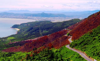 Quản lý rừng Nam Hải Vân: Thiếu chặt chẽ