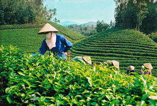 Bình mới thì rượu phải mới