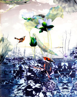 Hội tụ những sắc màu