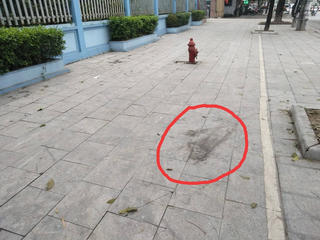 Truy tìm hung thủ nổ súng bắn thương vong 2 người giữa đường phố Thanh Hóa