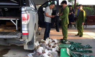 Bắt vụ vận chuyển hơn 3 tạ Tê Tê