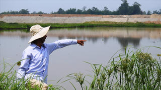 Nông dân khổ vì ruộng đồng ô nhiễm