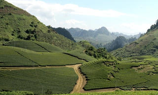 Ấn tượng Mộc Châu