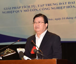 Không tích tụ đất đai nếu không hiệu quả