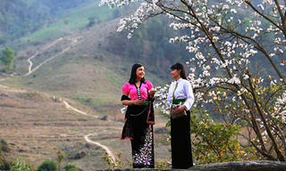 Bản làng dậy sắc hương