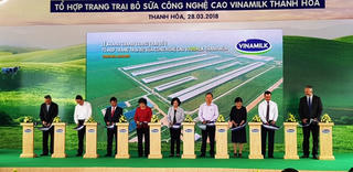 Vinamilk đưa vào khai thác trang trại bò sữa 700 tỷ đồng