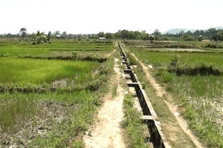 Gia Lai: Khắc phục khó khăn bước vào mùa vụ mới