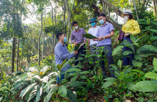 Phát triển kinh tế dưới tán rừng