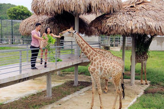 Khu du lịch sinh thái Diễn Lâm: Nơi trải nghiệm cung bậc cuộc sống