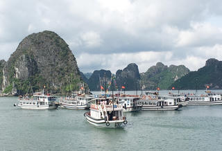 Thu thêm tiền 'bo', tàu du lịch bị đình chỉ hoạt động