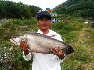 Câu được cá thác lác nặng 7 kg tại hồ thủy điện