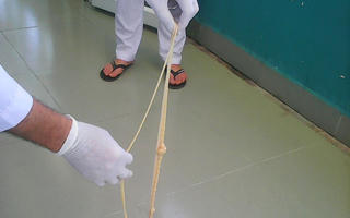 Xổ thành công con sán xơ mít dài hơn 8 mét